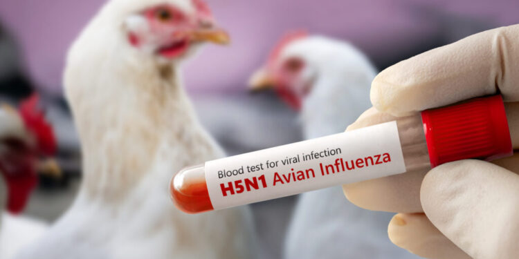 Profesionales de la Corporación Nacional Forestal Conaf de Ñuble, participaron en una jornada de capacitación sobre influenza aviar