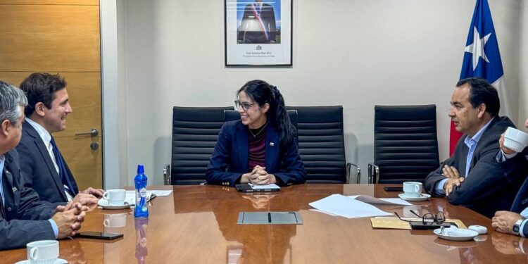 Diputado Martínez y alcalde de Chillán Viejo se reúnen con ministra del Medio Ambiente por crisis de malos olores