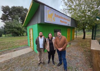 El Carmen habilitará Estación Médico Veterinaria Municipal gratuita