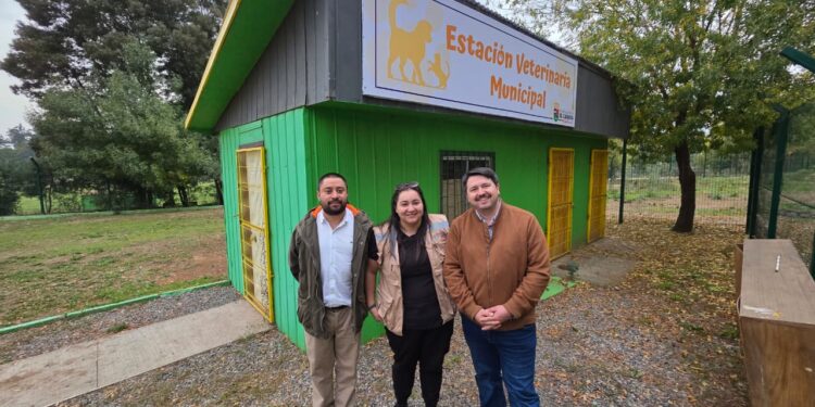 El Carmen habilitará Estación Médico Veterinaria Municipal gratuita