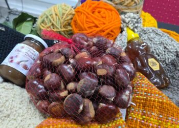 Lanzan la Fiesta de la Castaña de El Carmen 2026 