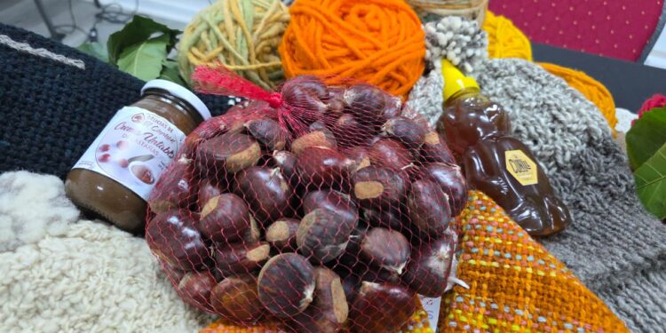 Lanzan la Fiesta de la Castaña de El Carmen 2026 