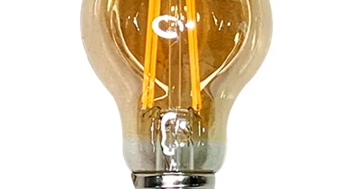 Subsidio Eléctrico continúa vigente y beneficiará a cerca de 80 mil hogares de la Región de Ñuble