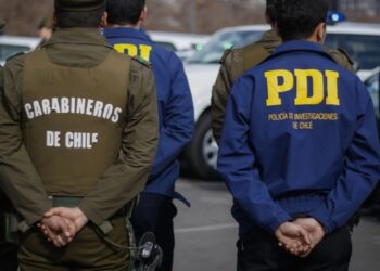 Decomisan venta de alimentos importados en malls chinos de Chillán