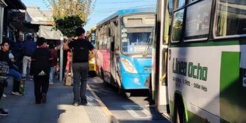 Niño es Agredido en el centro de Chillán por su Madre