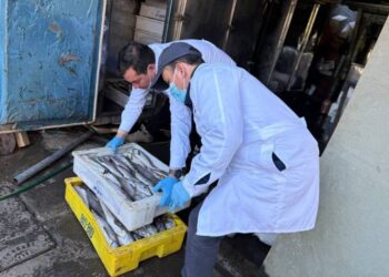 Decomisan productos del mar desde un inmueble particular