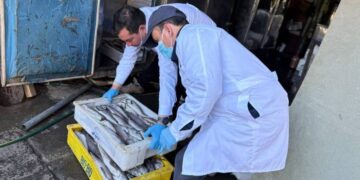 Decomisan productos del mar desde un inmueble particular