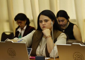 Diputada Sara Concha condena agresión a ministra y refuerza urgencia de avanzar en proyectos de aula protegida