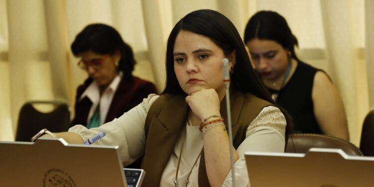 Diputada Sara Concha condena agresión a ministra y refuerza urgencia de avanzar en proyectos de aula protegida