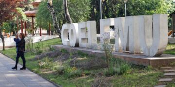 Decomiso de productos lácteos y mariscos mediante fiscalización en Coelemu