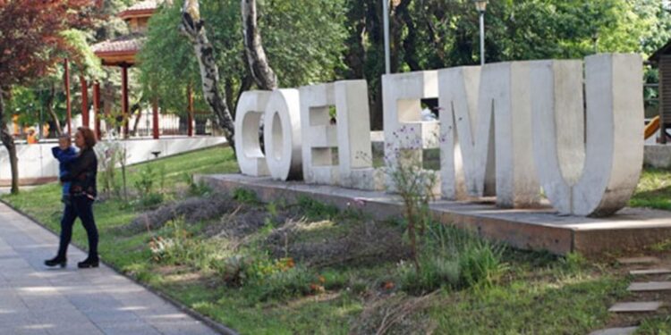 Decomiso de productos lácteos y mariscos mediante fiscalización en Coelemu