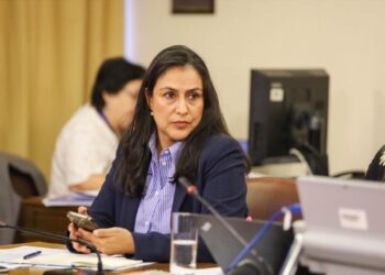 Diputada Francesca Muñoz solicita urgencia al Gobierno para proyecto que prohíbe la apología a la “narcocultura”