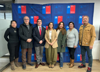 Seremi de las Culturas lideró nueva sesión del Consejo Regional de las Culturas, las Artes y el Patrimonio de Ñuble