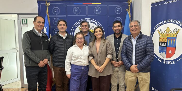 Seremi de las Culturas presentó plan de trabajo e inversión 2026 ante comisión del Gobierno Regional de Ñuble