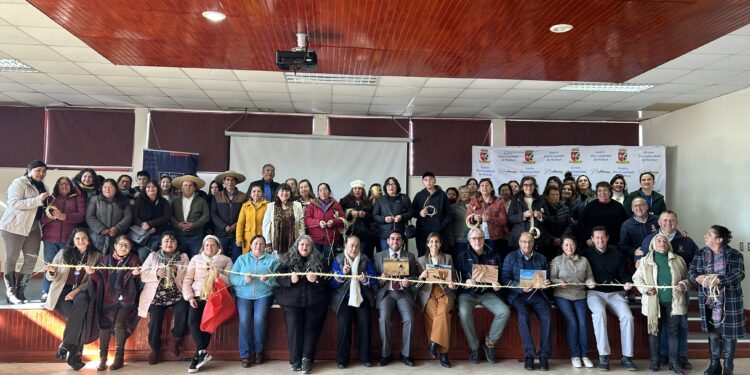Encuentro de Colchanderos releva la memoria del cultivo tradicional de la paja de trigo en la provincia de Itata