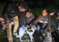 Realizan operativo veterinario para mascotas de personas en situación de calle