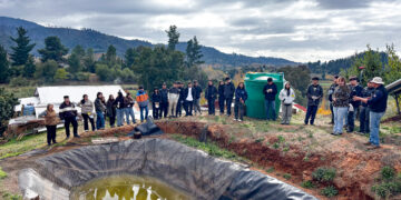 Estudiantes de Ingeniería Ambiental participaron en jornada de restauración agroecológica en Quillón