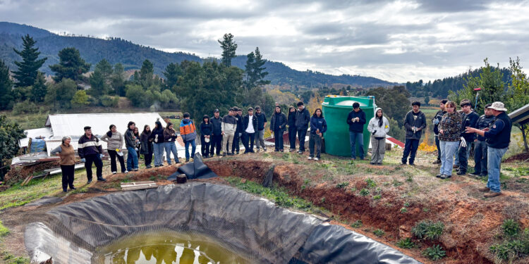 Estudiantes de Ingeniería Ambiental participaron en jornada de restauración agroecológica en Quillón