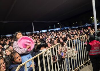 Más de 15 mil personas disfrutaron de la Fiesta de la Castaña El Carmen 2026