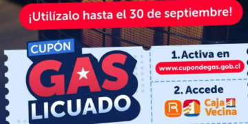 Segegob destaca alta activación del Cupón de Gas en Ñuble y refuerza despliegue territorial para llegar a sectores rurales y adultos mayores