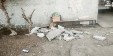 Hasta en Brasil percibieron el violento sismo de 6.9 grados en el norte: calificaron fenómeno de «terremoto»