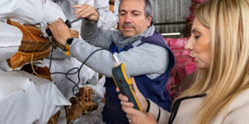 AUTORIDADES  REFUERZAN INPECCIONES EN EL COMERCIO DE LA LEÑA