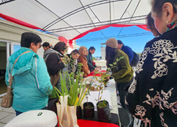 Intercambio de Semillas Nativas reunió a organizaciones y comunidades en torno a la restauración y conservación de la flora nativa en Ñuble