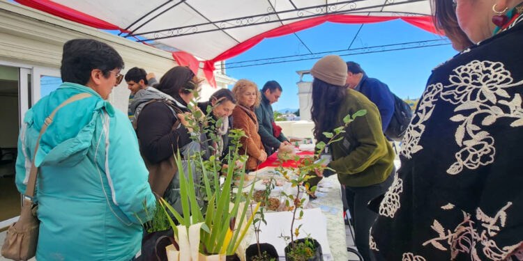 Intercambio de Semillas Nativas reunió a organizaciones y comunidades en torno a la restauración y conservación de la flora nativa en Ñuble