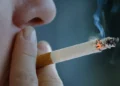 «Día del Tabaco» se conmemora este 31 de mayo.