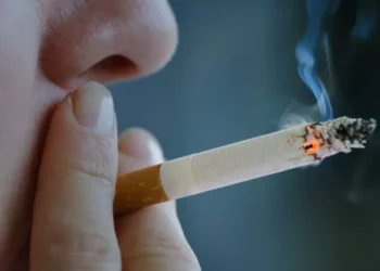 «Día del Tabaco» se conmemora este 31 de mayo.