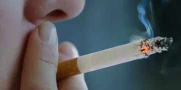 «Día del Tabaco» se conmemora este 31 de mayo.