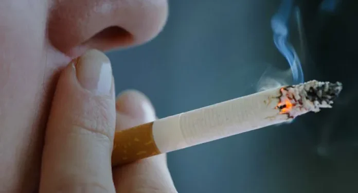 «Día del Tabaco» se conmemora este 31 de mayo.