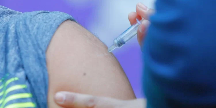 72% de cobertura en vacunación contra la influenza en Ñuble
