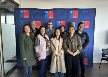 Consejo Regional de las Culturas de Ñuble abordó convocatoria artística y fortalecimiento de fondos regionales