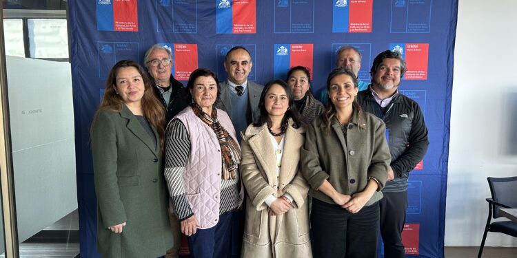 Consejo Regional de las Culturas de Ñuble abordó convocatoria artística y fortalecimiento de fondos regionales