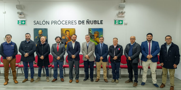 CGE informó que líneas de transmisión Monterrico Cocharcas y Charrúa Chillán podrían adelantar su entrega para el 2027